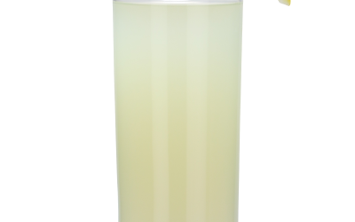 Lemonade